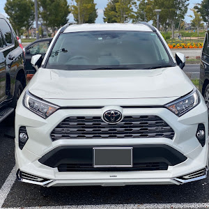 RAV4 MXAA54