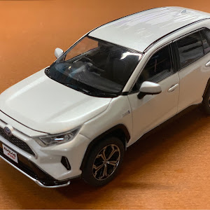 RAV4 AXAH54