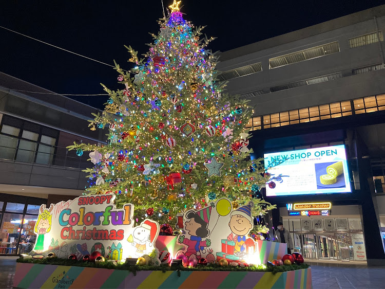 トイプードルさんが投稿したいつもいいね＆コメントありがとうございます・クリスマスイルミネーション・BMW3シリーズ・整備記録・愛車が一番に関するカスタム事例の投稿画像3枚目