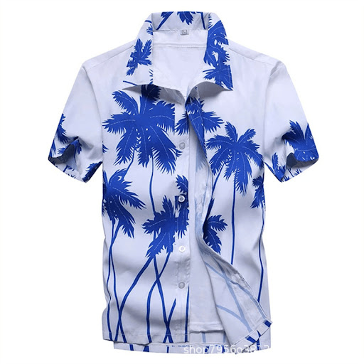 Title 6, Lapel Loose-fit Thin Mens Shirt