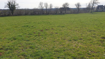 terrain à Mauriac (15)