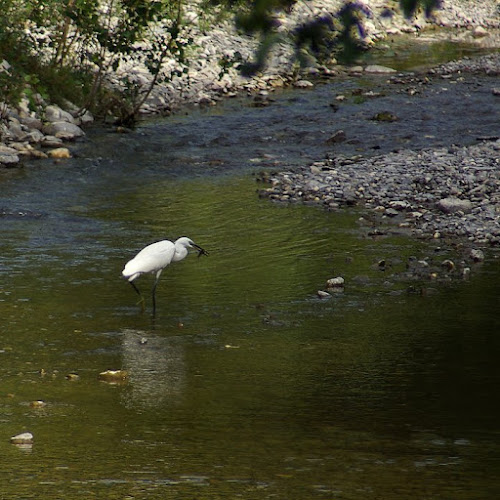 La pesca di gianni87