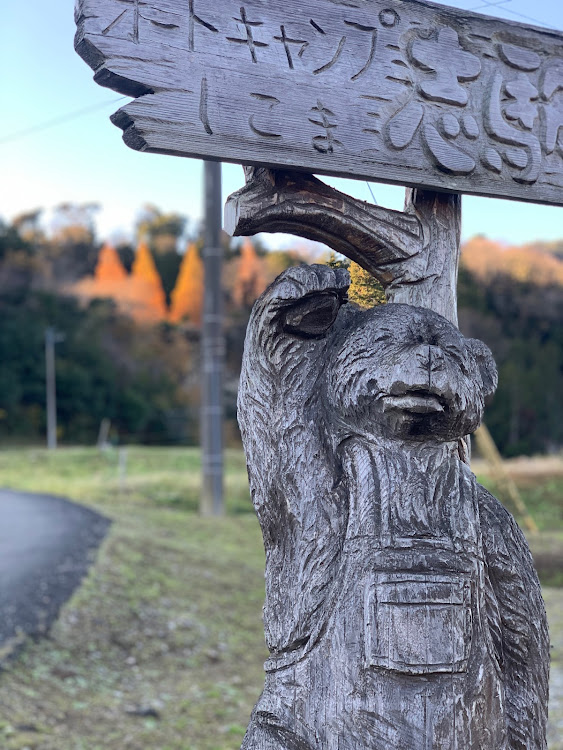 ニュービートル カブリオレの房総🍁紅葉ドライブ・メタセコイヤ並木・オープンカーのある生活に関するカスタム事例の投稿画像2枚目