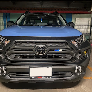 RAV4 MXAA54