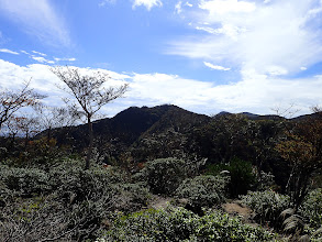 三池岳が近くに