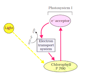 Solution Image