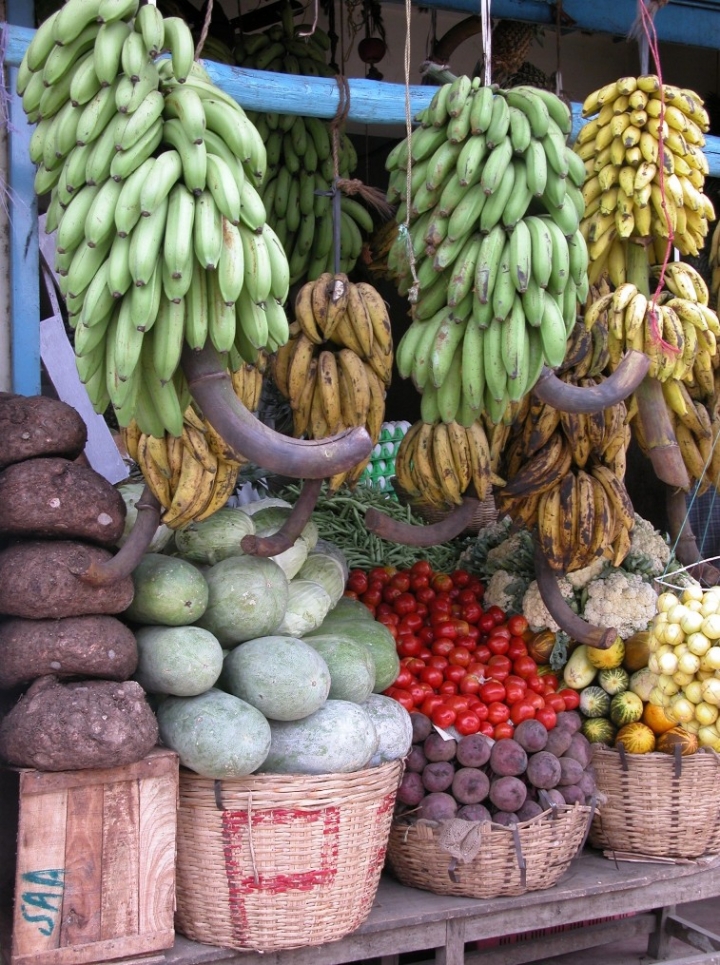 Frutta e verdura di mogavero