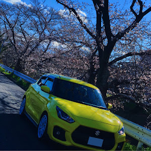 スイフトスポーツ ZC33S