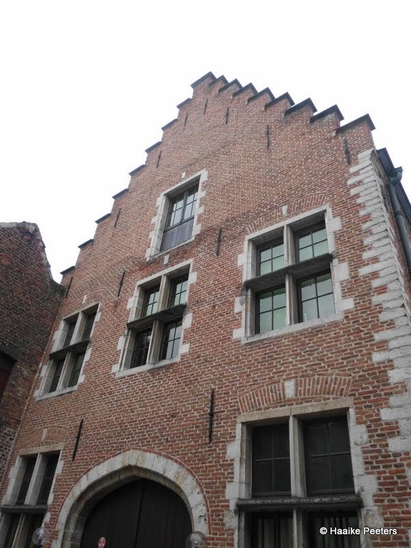 Ezeldijkmolen Diest (Le petit requin)