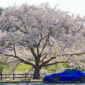 BRZ ZD8