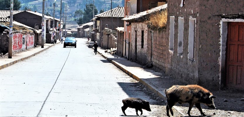 Così si impara ad attraversare la strada di RITROB