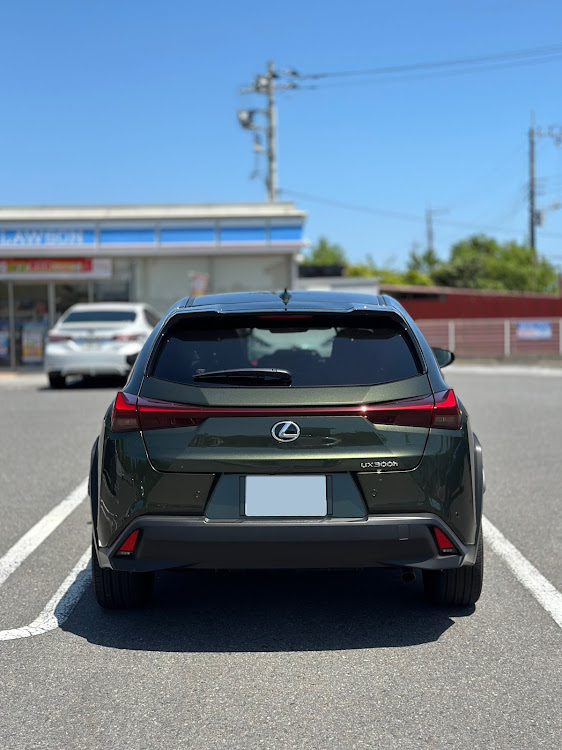 UXのGW・テレーンカーキマイカメタリック・ヌルテカボディ選手権・LEXUS・UX300hに関するカスタム事例の投稿画像2枚目