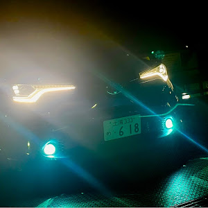 C-HR ZYX10