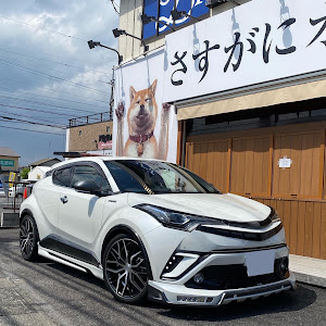 C-HR ZYX10