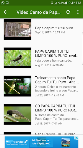 PAPA CAPIM TUI TUI PURO - TREINAMENTO 