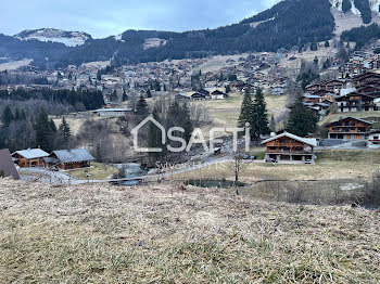 terrain à Chatel (74)