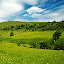 Meadow Popular Scenery HD New Tabs Theme