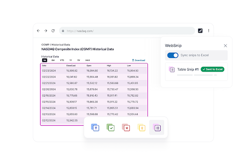 DataSnipper WebSnip Extension