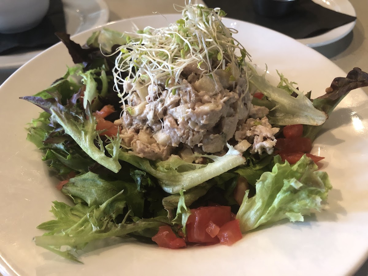 Dairy free and gluten free chicken apple salad