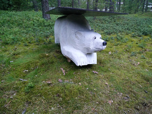 Ice Bear 