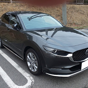 CX-30 DM8P