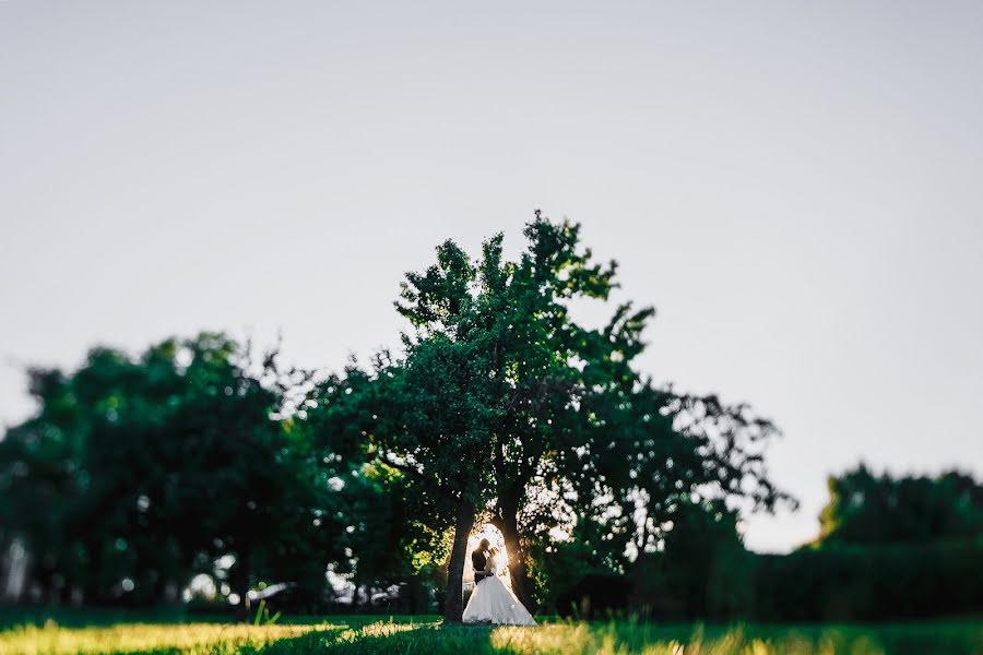 Fotógrafo de casamento Aleksey Malyshev (malexei). Foto de 16 de setembro 2014