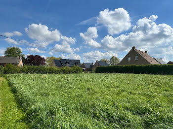 maison neuve à Bavinchove (59)