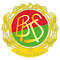 Item logo image for BKS BOSTIK Bielsko-Biała