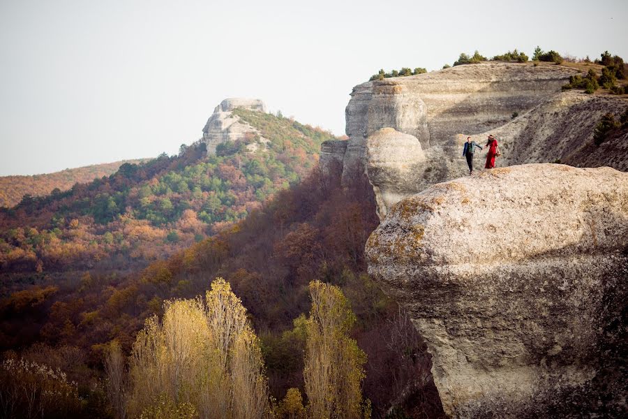 Fotograful de nuntă Ivan Tulyakov (dreamphoto). Fotografia din 23 ianuarie 2015