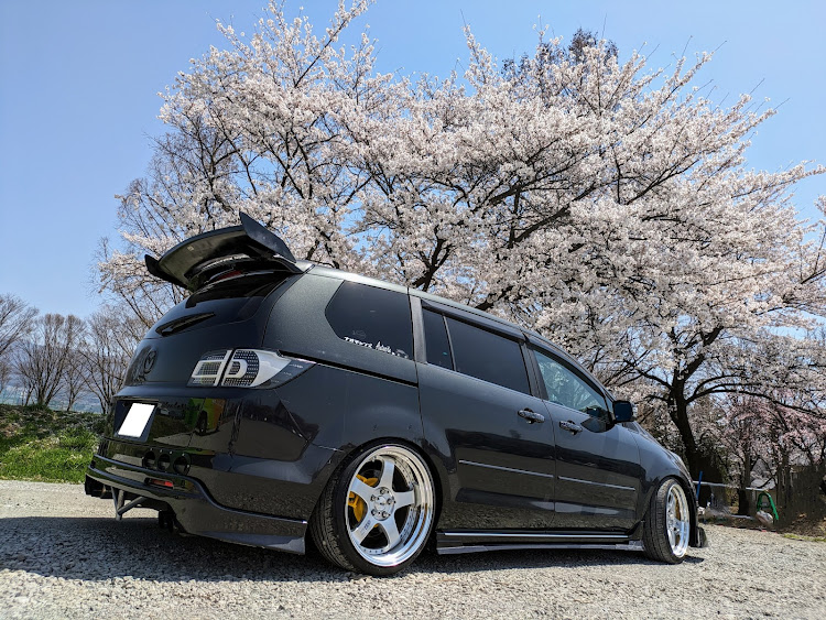 MPVのサクラと愛車・桜とコラボ・うしろ姿もいいよね・GWって皆さん何するの？に関するカスタム事例の投稿画像1枚目