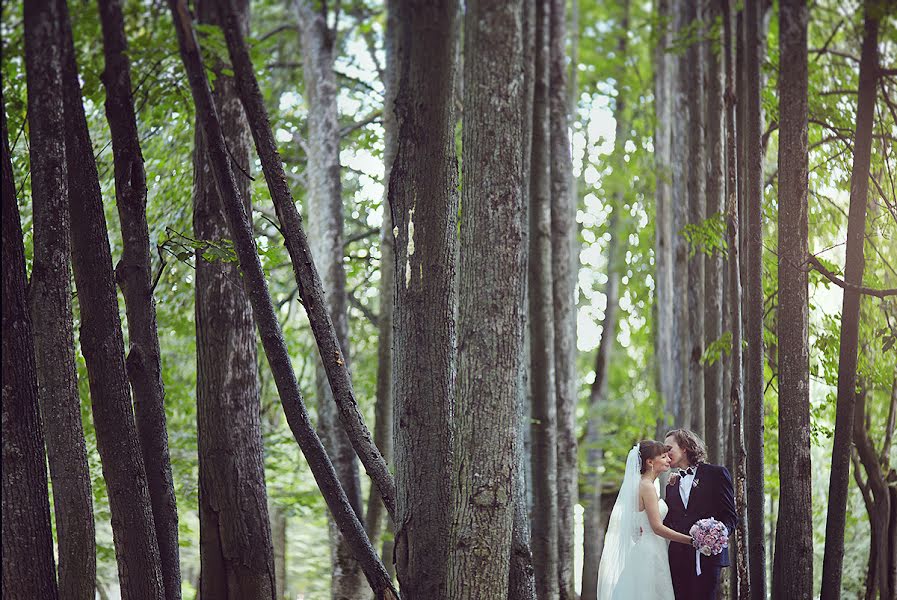 Wedding photographer Evgeniya Krasovskaya (alessa-white). Photo of 6 January 2014