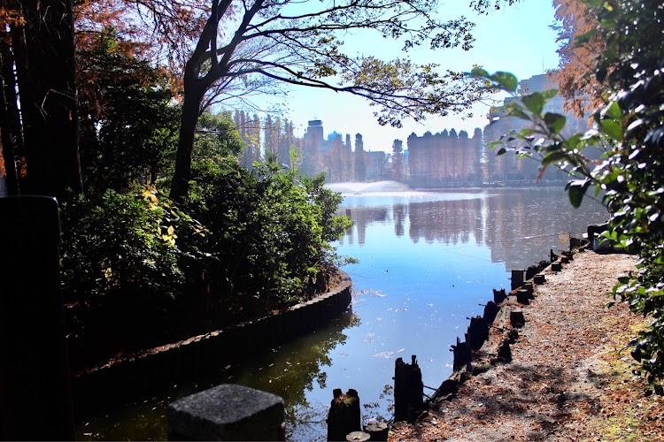 ヴェルファイアの別所沼公園に関するカスタム事例の投稿画像9枚目