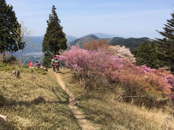 「山頂コース」のメインビジュアル