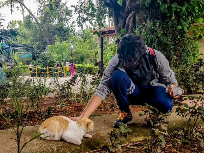 ranganathittu bird sanctuary