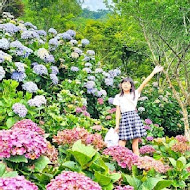 童遊水族親子咖啡廳 林口分館