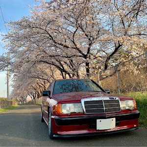 190シリーズ W201