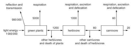 Maintaining biodiversity