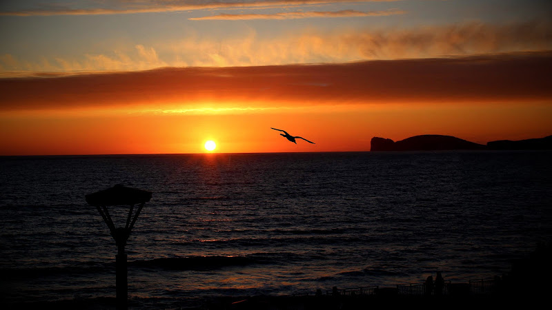 Volo su Capo Caccia di ombredambra