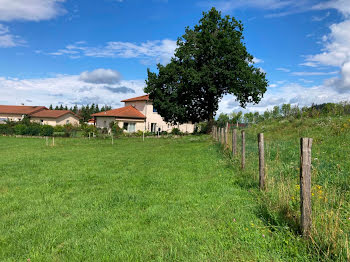 terrain à Belmont-de-la-Loire (42)