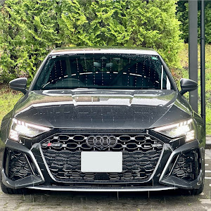 RS3 スポーツバック