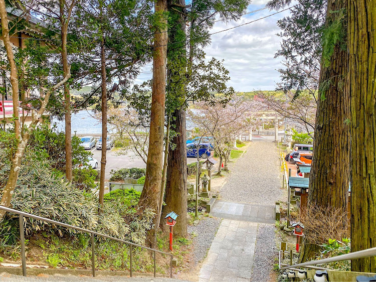 エクシーガの桜と愛車・桜は今年は最後かな？・千葉3大ラーメンに関するカスタム事例の投稿画像22枚目