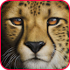 Download HD New Cheetah Wallpaper For PC Windows and Mac 1.01