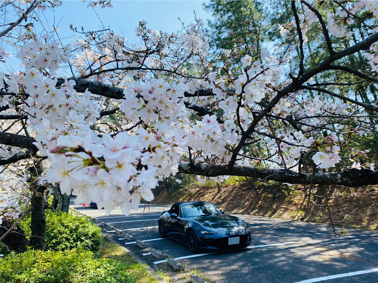 の投稿画像1枚目