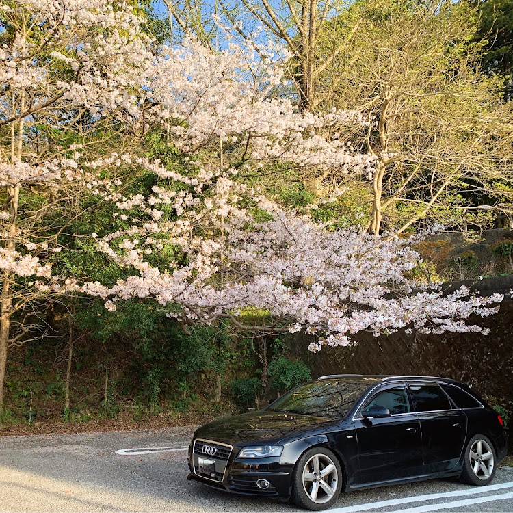 A4 アバントの桜・スタッドレス・春に関するカスタム事例の投稿画像1枚目
