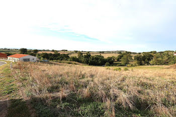 terrain à Saint-Marcel-de-Félines (42)