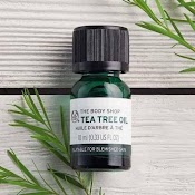 Chấm Mụn Tinh Dầu Tràm Trà The Body Shop Teatree Oil