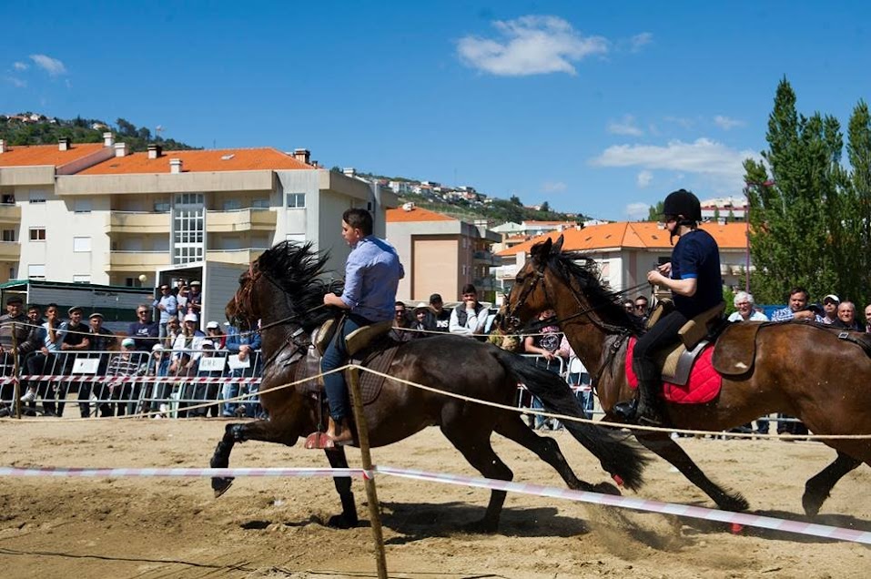 Fotos da Feira de Santa Cruz - 3 de Maio