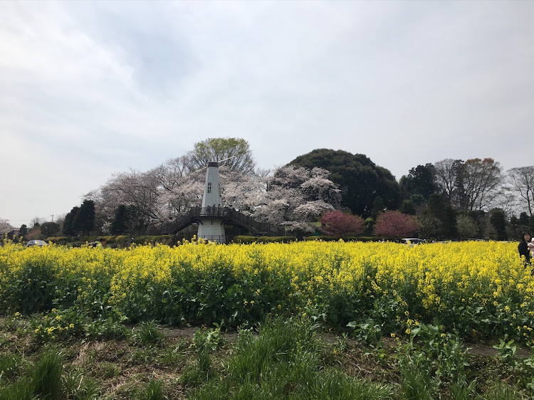 の投稿画像104枚目