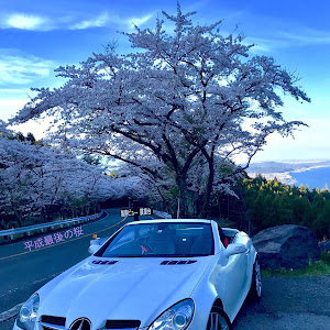 SLK R171