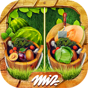 Download  Find the Difference Gardens – Casual Games 